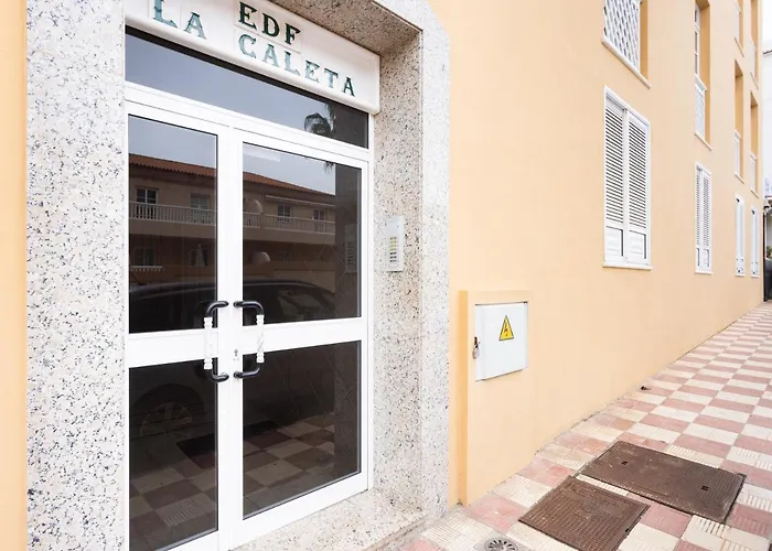 Live Mar De Plata גרצ'יקו